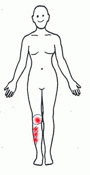 図２