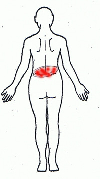 図１